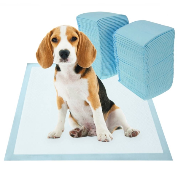 Empapadores absorbentes , toallitas de entrenamiento para perros cachorros y todo tipo de mascotas 60x60
